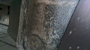 petal_20260408_130105.mp4