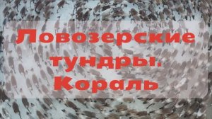 Ловозерские тундры. Кораль | Документальный фильм о жизни оленеводов март 2026