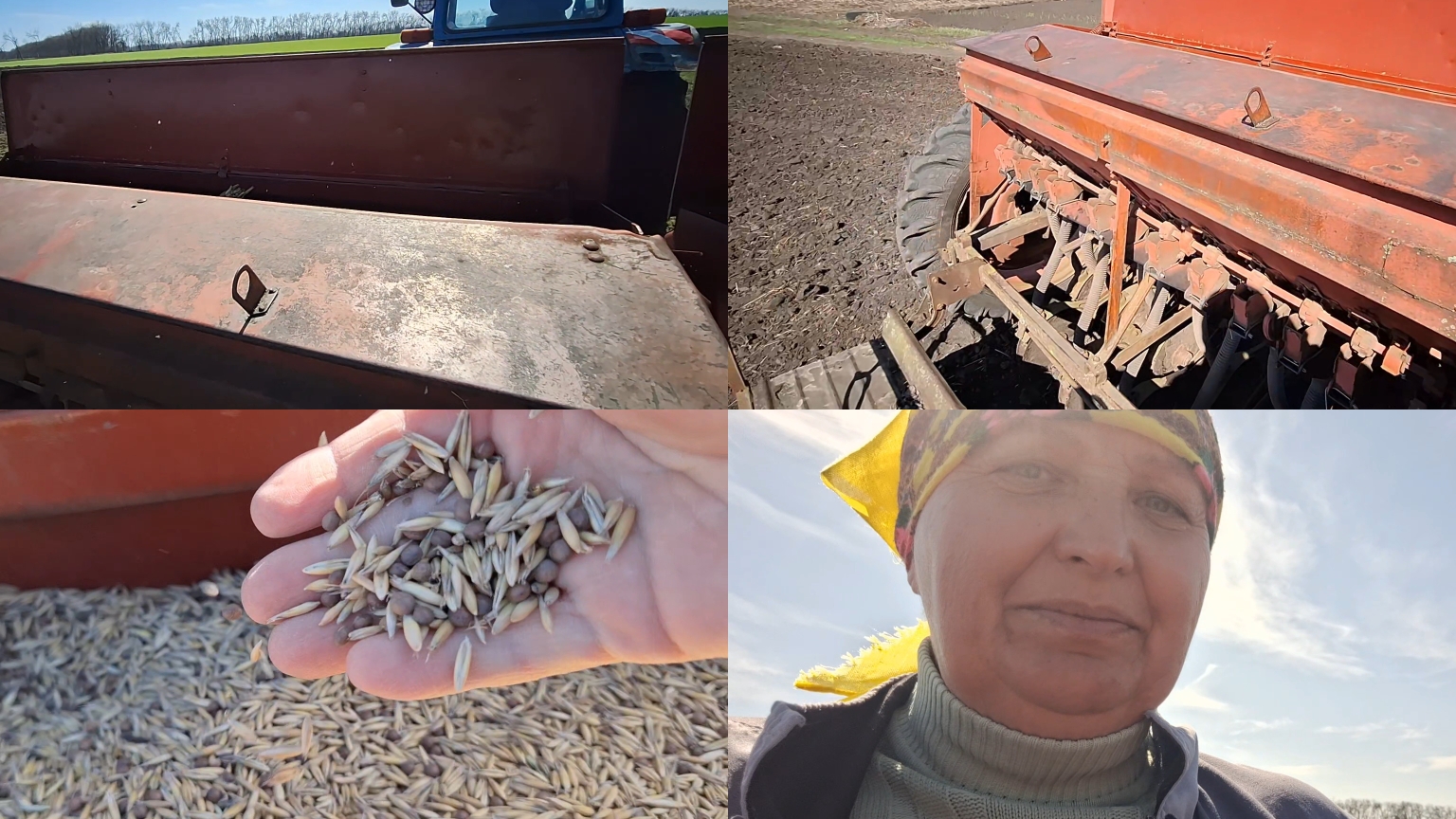 Посеяли вику овёс,жизнь в Деревне