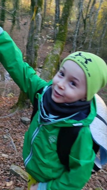 треба на Дольмене и Сын экстремал #природа #лес #пшада #яблоки