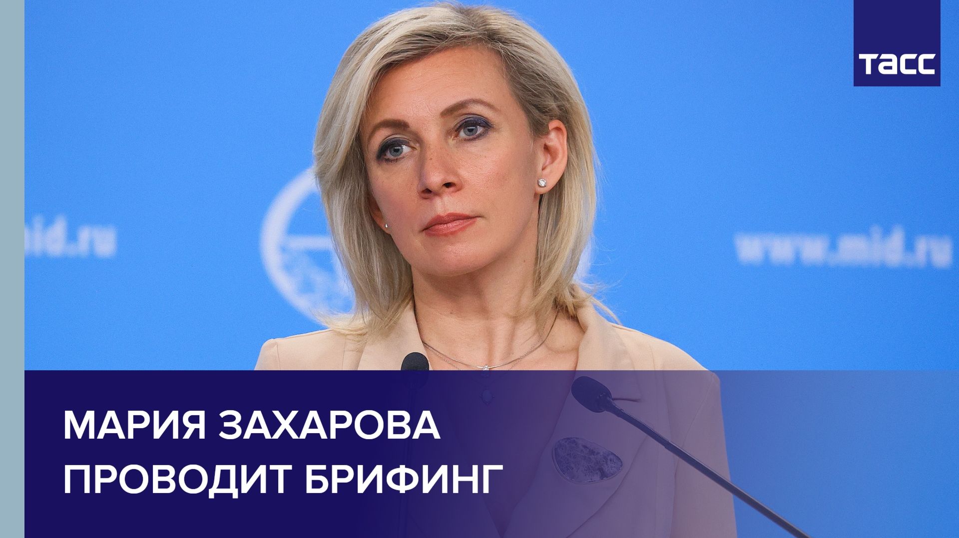 Мария Захарова проводит брифинг