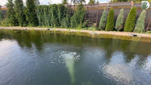 Видео журнал "СОФ №165" - ПЕЙЗАЖНЫЙ  ВОДОЕМ и дизайн его прибрежной зоны. Идеи, советы и решения.