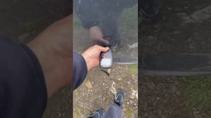 Поло.mp4