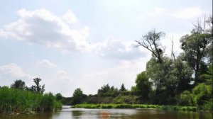 В.П. Астафьев Фрагмент о рыбалке из Царь-рыбы.