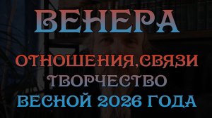 Венера. Отношения и связи весной 2026 года