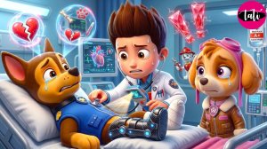 Щенячий патруль и Маршалл. Залипательное видео. Мультфильм для детей и малышей. Анимация 383