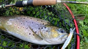 Рыбалка в ручьях | Ручьевая форель