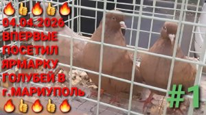 🔥🔥🔥 04.04.26 Ярмарка голубей в г.Мариуполь. Впервые приехал на этот птичий рынок. Pigeons Fair.