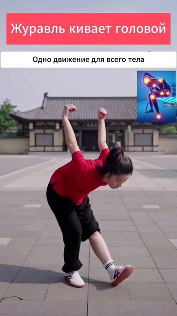 Журавль кивает коловой