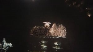 "Я - ёжик, я упал в реку"...