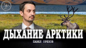 Суровая кладовая, или Куда уходят якутские мамонты | Павел Орехов | Ульяна Максименко