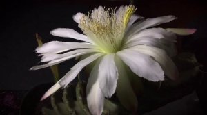 Внутри тишина. В этом мире вещей слишком много забыли о Боге.