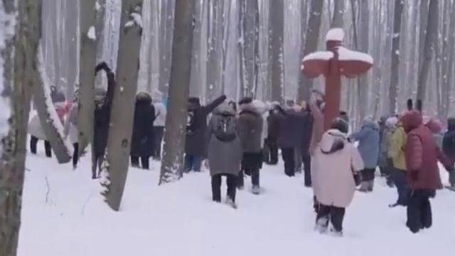 Дыхательная гимнастика доктора Шишонина в зимнем лесу