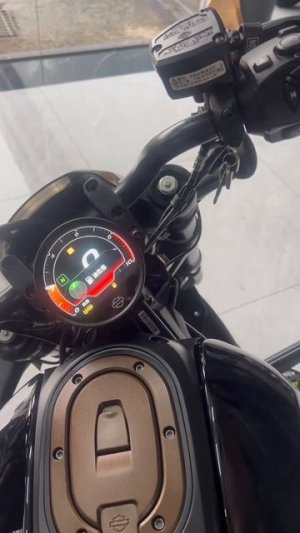 Harley-Davidson Sportster S 1250