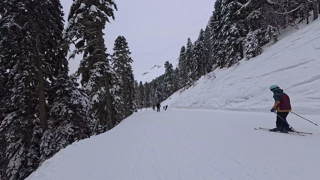 2026-02-27 Сочи. Панорама (ПЕТЯ-ФЕДЯ)