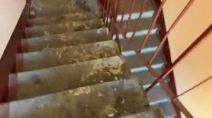 Лифты МЛМ 2021 г.в.