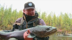 Монстр  северной реки свалил с ног! Рыбалка за полярным кругом.