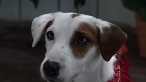 Трудный ребенок 2 ( ч.з)