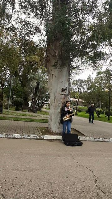 Уличный музыкант.Сухум.