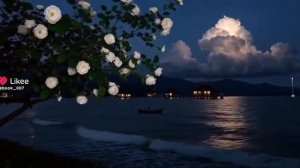 у видиво тэ налэн закушло. чекай о описания😊⚜️