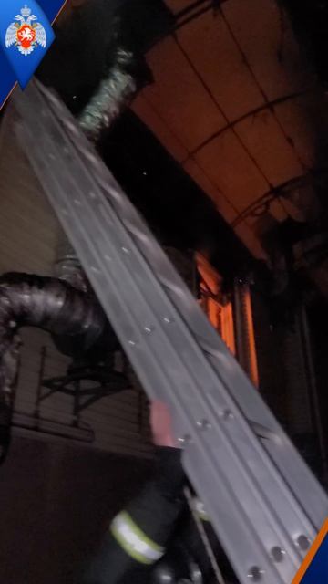 День пожарной лестницы