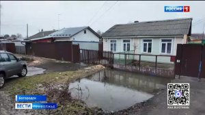 Жители Богородска тонут на своих участках