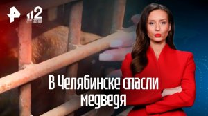 Медведя спасли в Челябинске из неподобающих условий