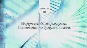 Вирусы и бактериофаги. Неклеточные формы жизни