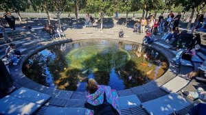 Пруд в парке Галицкого - хорошее место для отдыха и релакса.