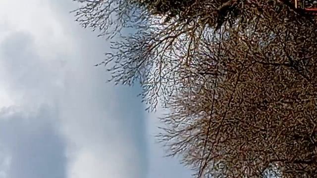 природа прагулка мая пасматри 👍👍👍👍👍👍👍