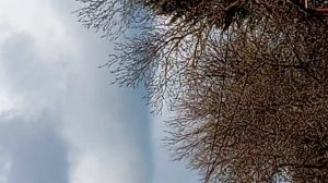 природа прагулка мая пасматри 👍👍👍👍👍👍👍