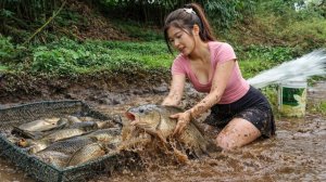 Собираю много рыбы в грязи, используя примитивные навыки.