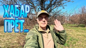 Хабар на этом поле не кончается! Сезон 2026