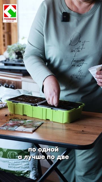 А вы сеете свёклу сразу в открытый грунт или выращиваете через рассаду?