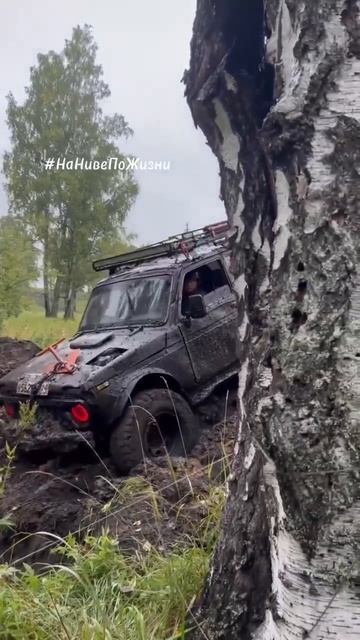 Коротко о внедорожных соревнованиях #НаНивеПоЖизни