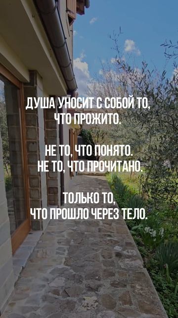 Твои знания останутся лишь шумом в голове,