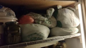 Влог. Я в Полярном. Работаю бабушкой.🤣