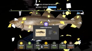 ЛУЧШИЕ ФАРМЫ НА МЕДНОМ, АХТУБЕ И МОРСКИЕ РАЗДАЧИ ТРОФОВ В РУССКОЙ РЫБАЛКЕ 4 ОБЗОР ВОДОЕМОВ РР4