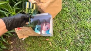 БЕСПЛАТНАЯ МЕБЕЛЬ,СУМКИ,ФУЖЕРЫ НА УЛИЦАХ СИДНЕЯ(Me & Australia)