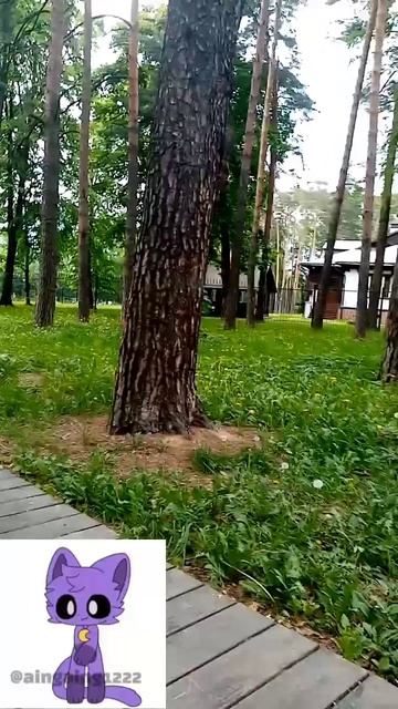 Белка белка белка белка белка