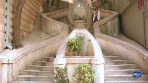 Белые розы 1