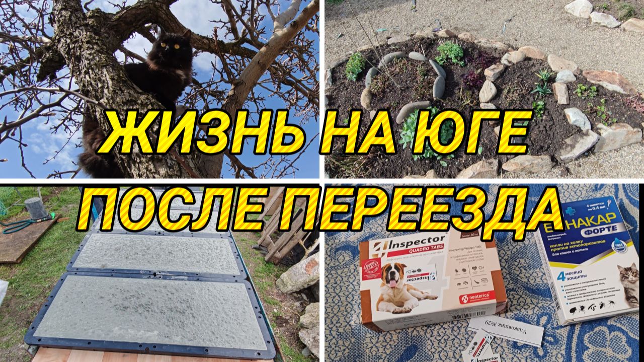 ЖИЗНЬ В СТАНИЦЕ ПОСЛЕ ПЕРЕЕЗДА, ПОСЕЯЛА ОВОЩИ, ЗЕЛЕНЬ, НАЧИНАЕМ ДЕЛАТЬ ПЛИТКУ