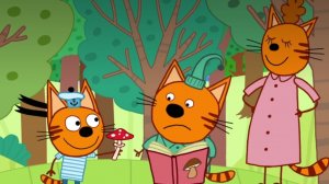 ТРИ КОТА. ТРИ КОТА НА ПИКНИКЕ.