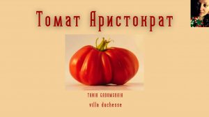 700 сортов томатов и парфюм