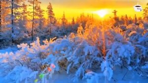 РЕЛАКС. Красивая мелодия! Одна из самых красивых,волшебных зимних мелодий!