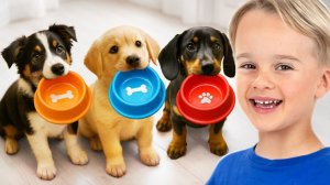 Дети заботятся о животных в приюте