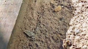 Кира моя родная тоесть двоюродная 67?