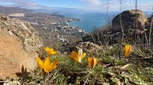 За подснежниками  Часть 1 Подъем на гору Аю-Даг Крым март 2026