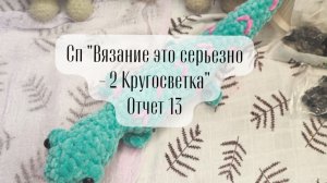 СП "Вязание это серьёзно -2 Кругосветка" отчёт 13