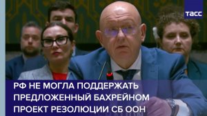 Небензя: РФ не могла поддержать предложенный Бахрейном проект резолюции СБ ООН